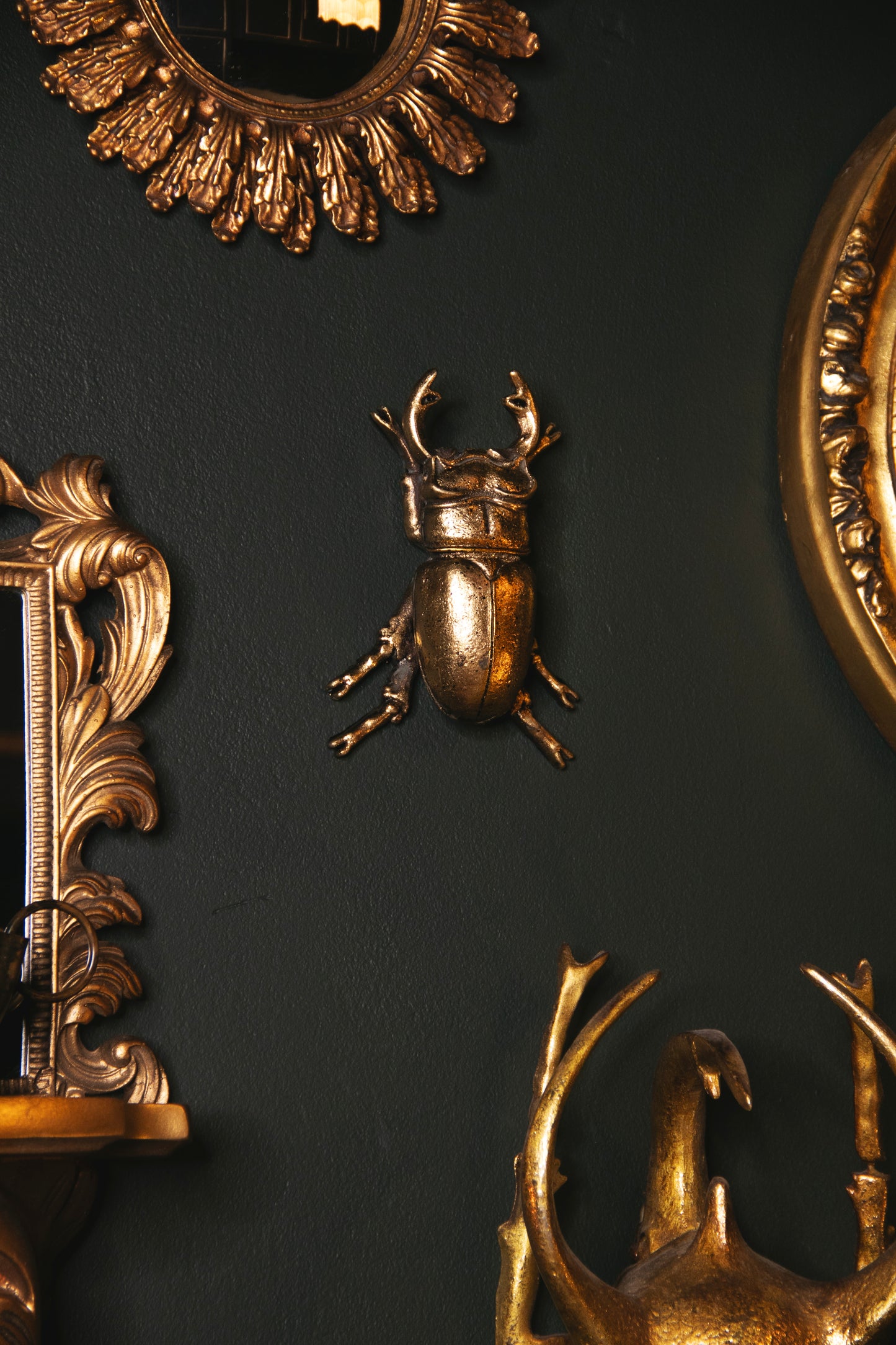 Mini Stag Beetle Wall Hanging