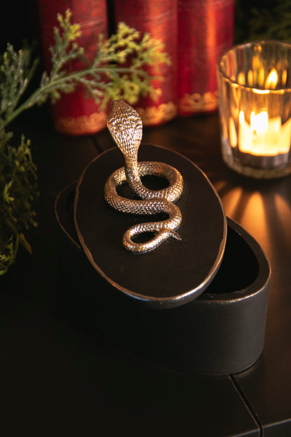 Snake Trinket Box